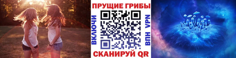 Псилоцибиновые грибы прущие грибы OMG маркетплейс Весьегонск